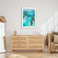 Palau, Oceania Photo Color Poster