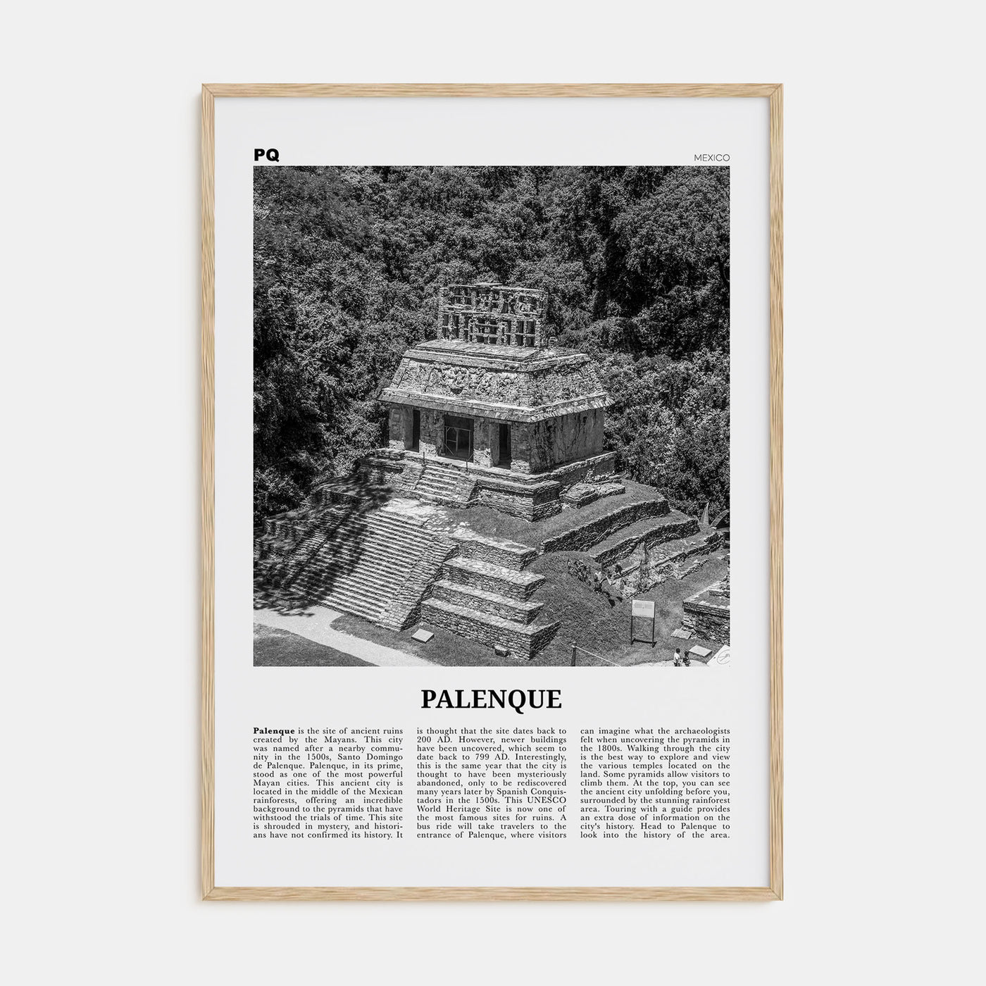 Palenque Travel B&W Poster