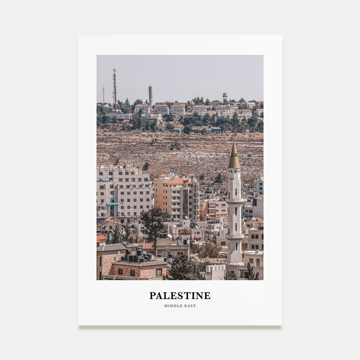 Palestine Portrait Color No 1 Poster