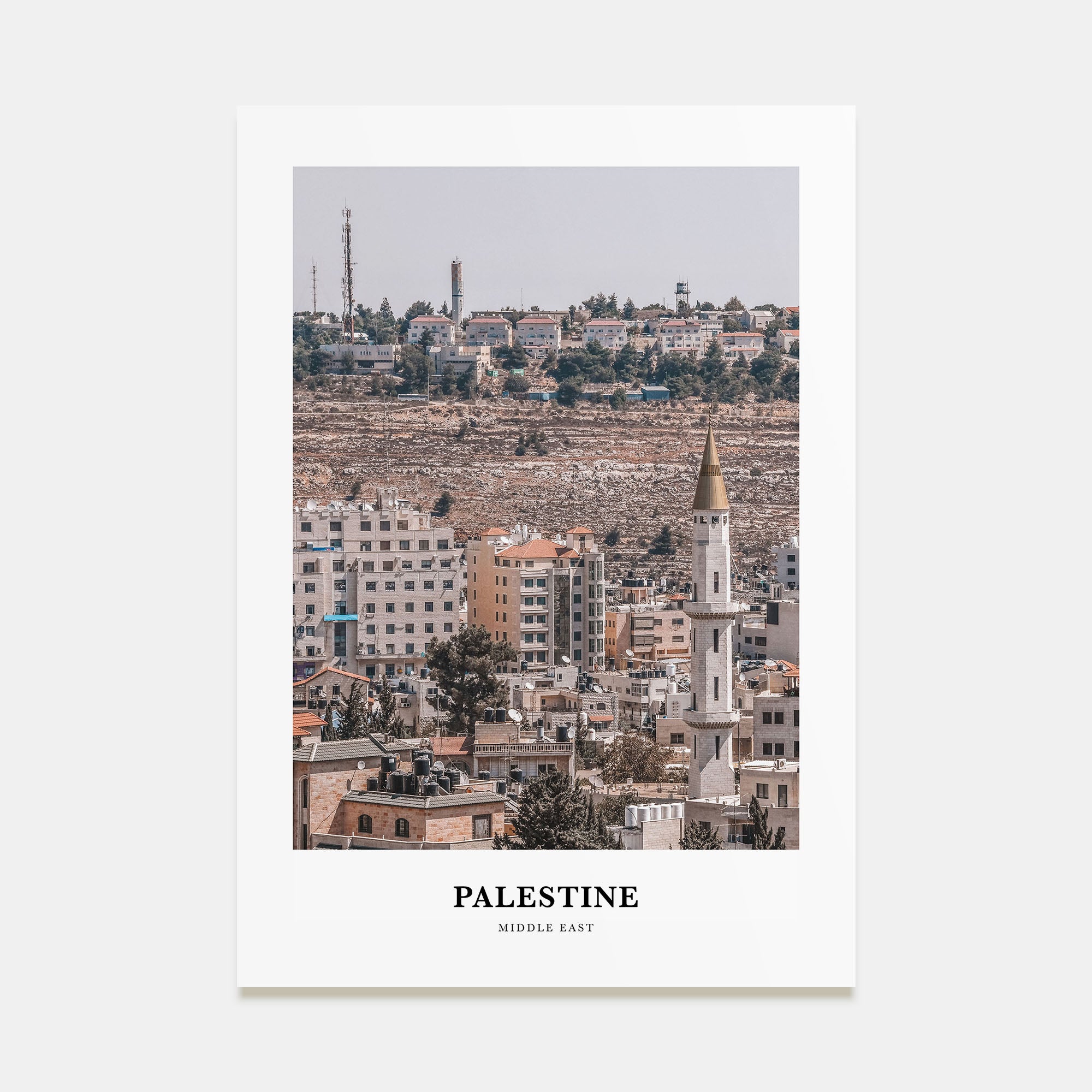 Palestine Portrait Color No 1 Poster