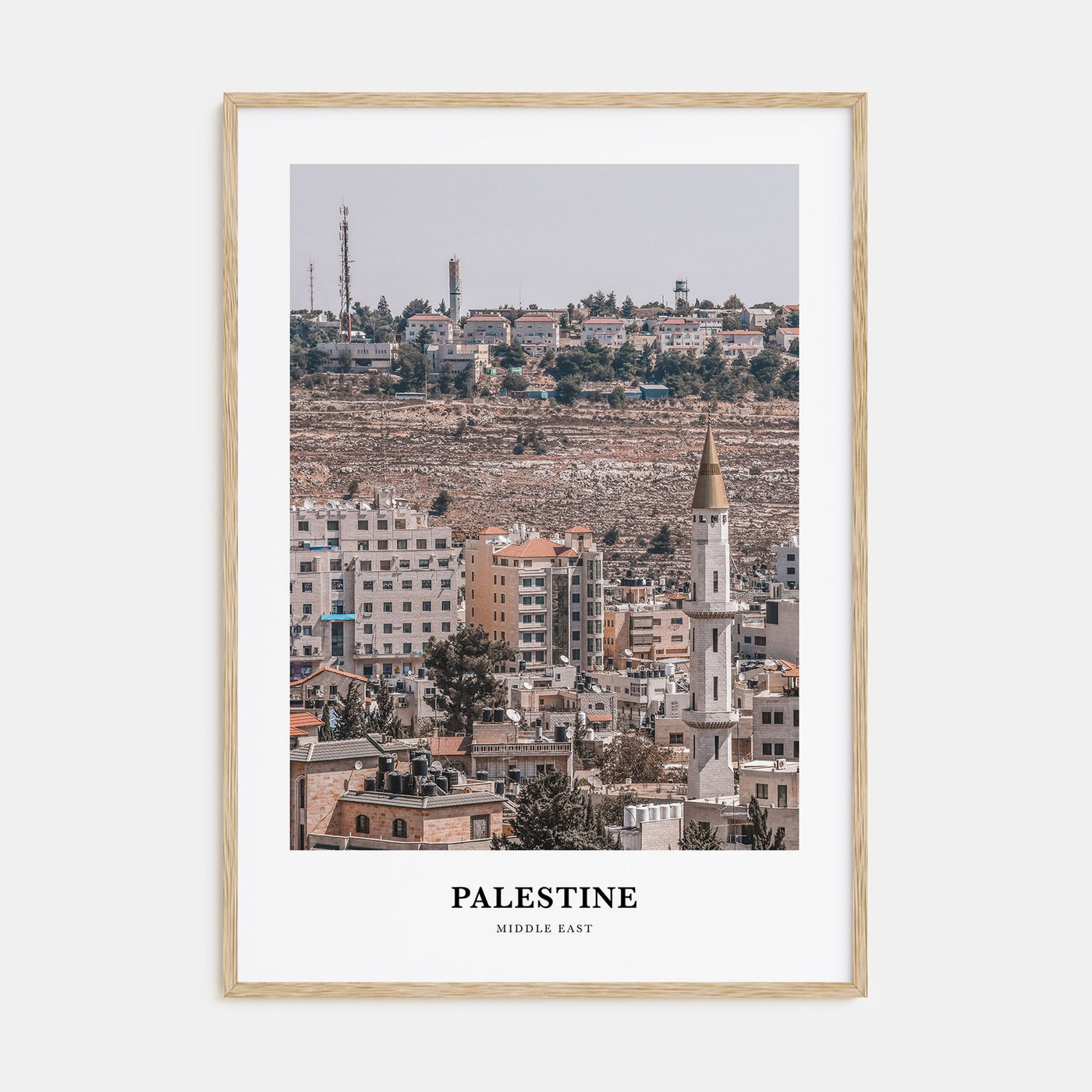Palestine Portrait Color No 1 Poster