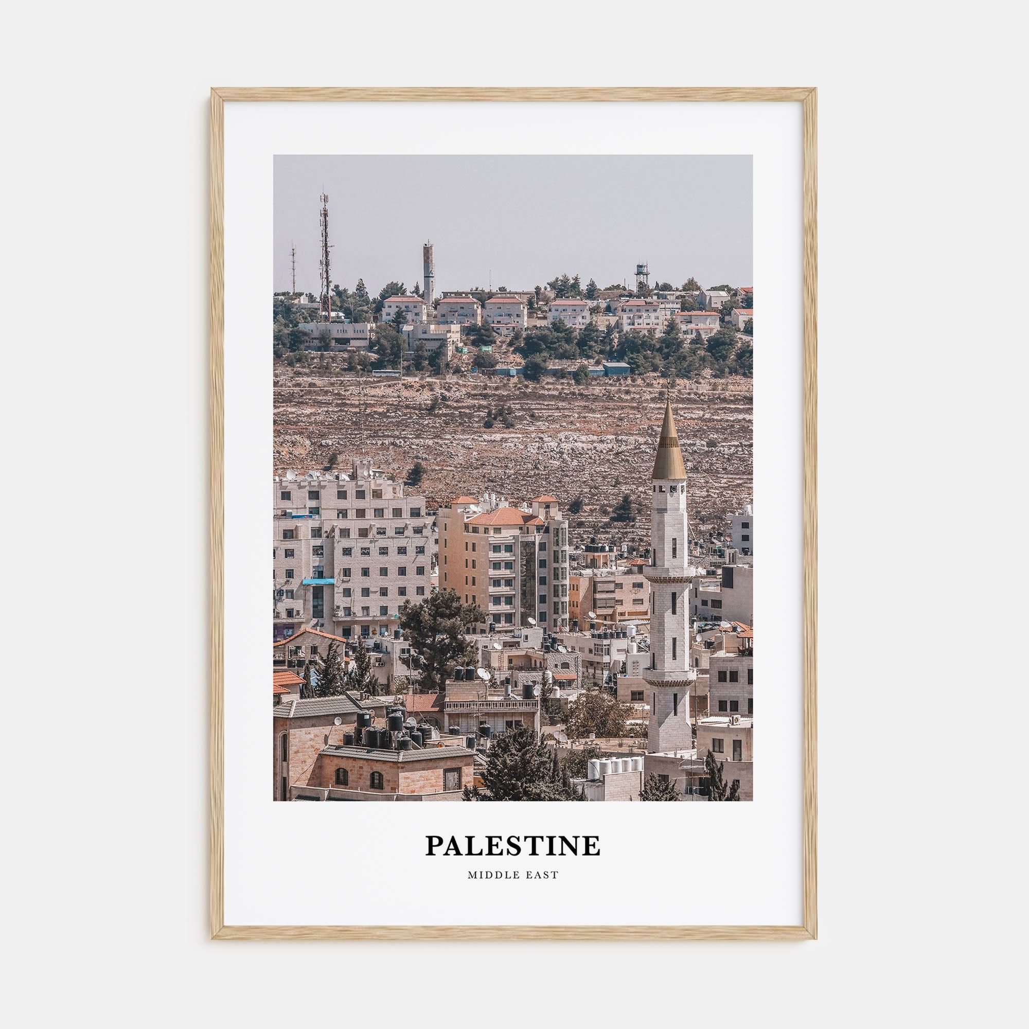 Palestine Portrait Color No 1 Poster