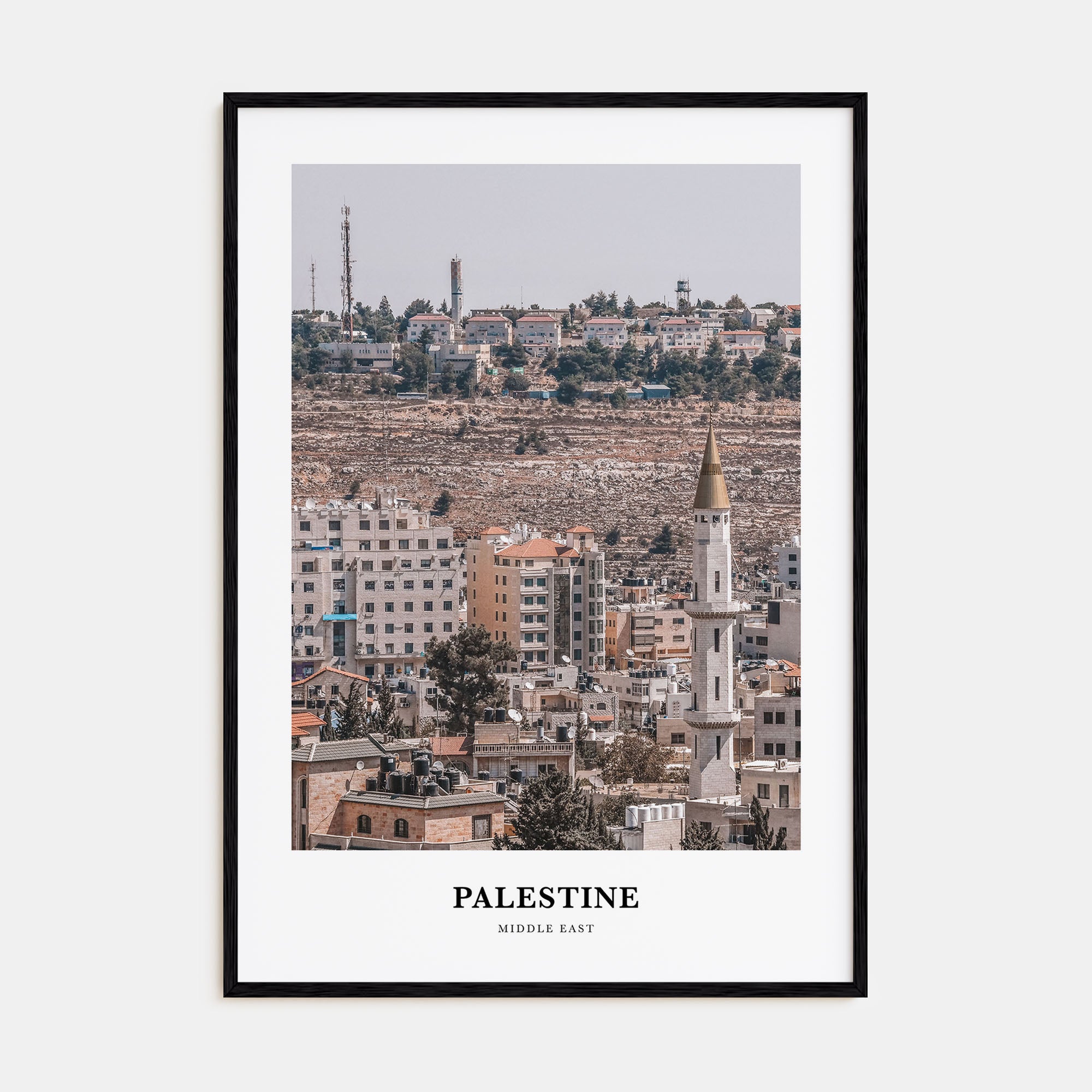Palestine Portrait Color No 1 Poster