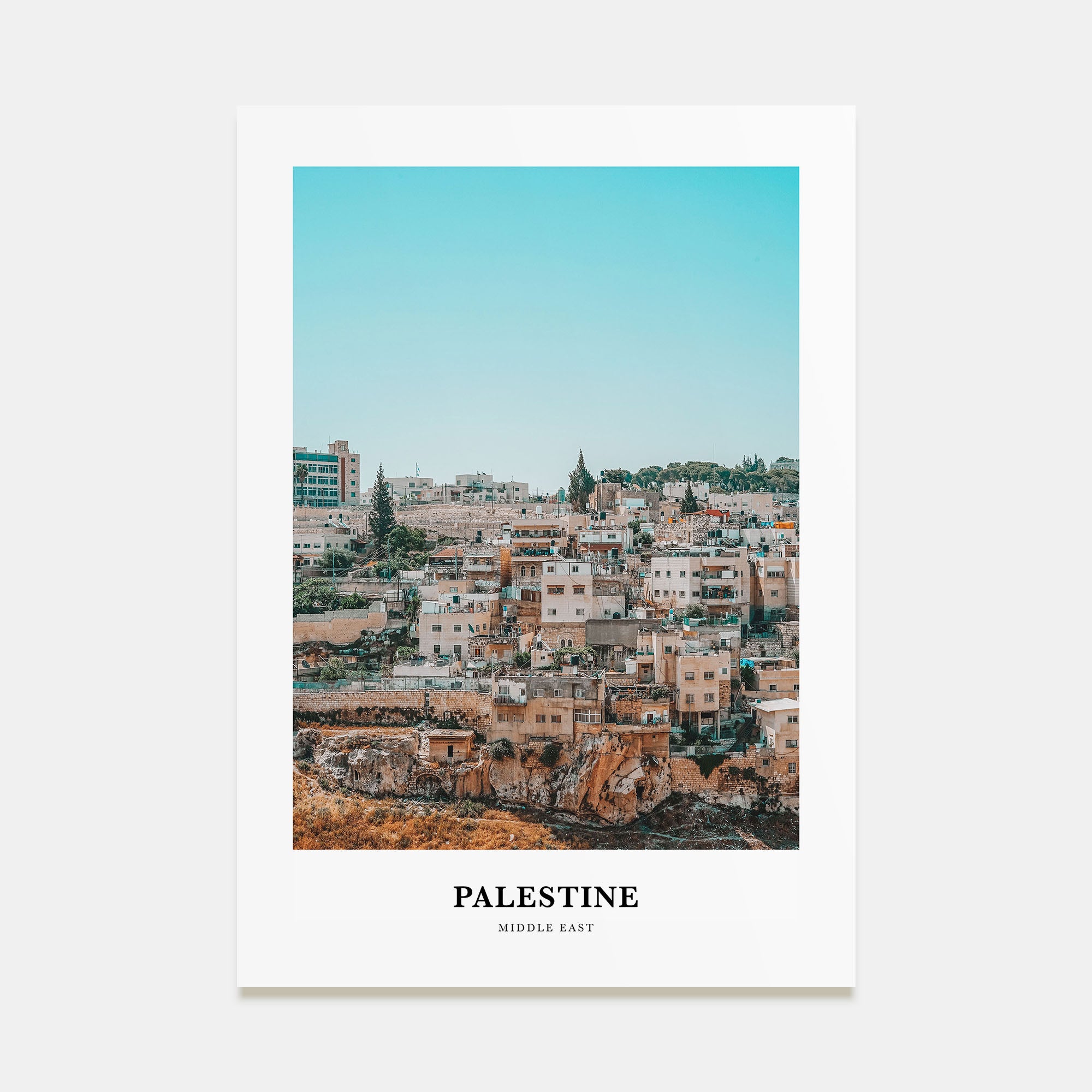 Palestine Portrait Color No 3 Poster