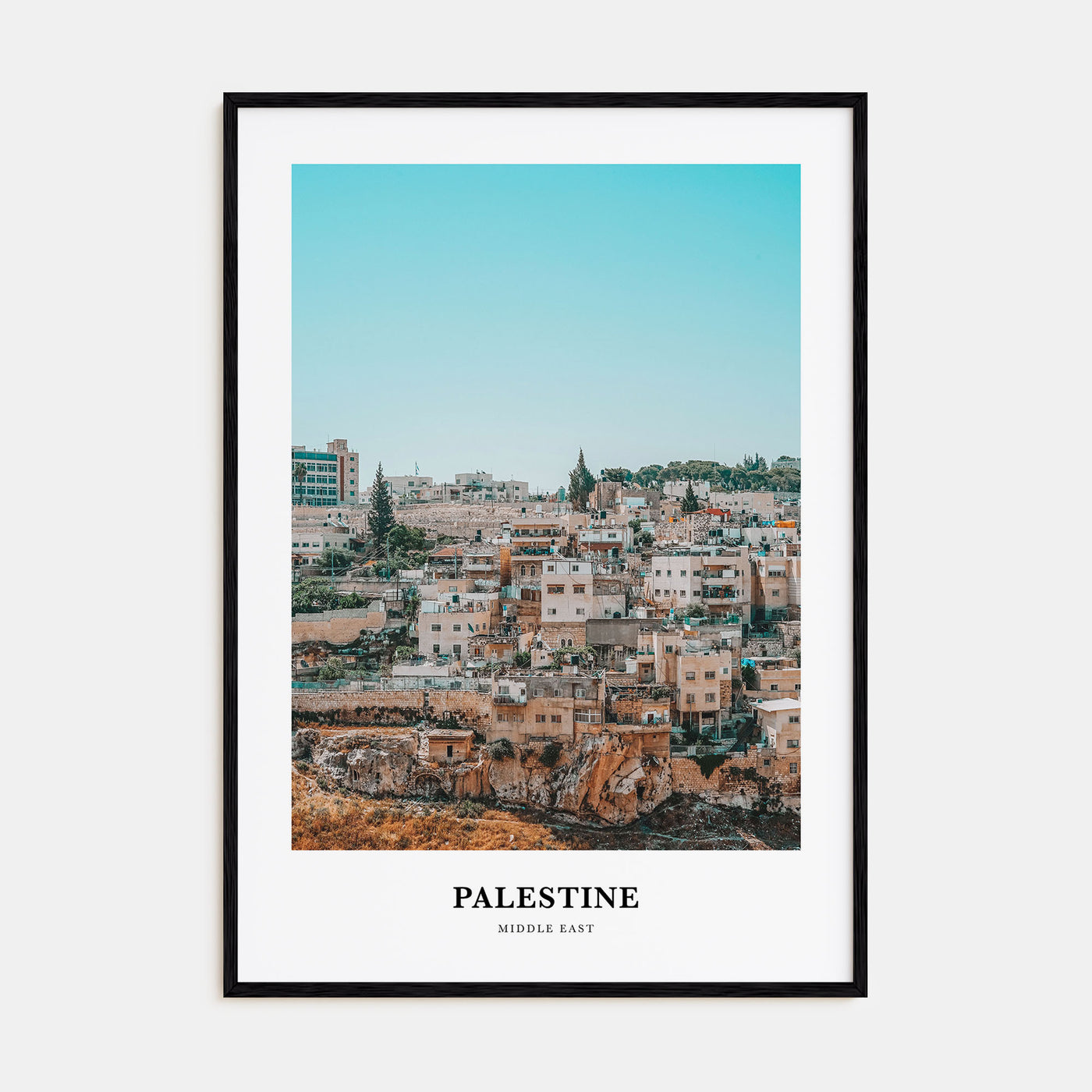 Palestine Portrait Color No 3 Poster