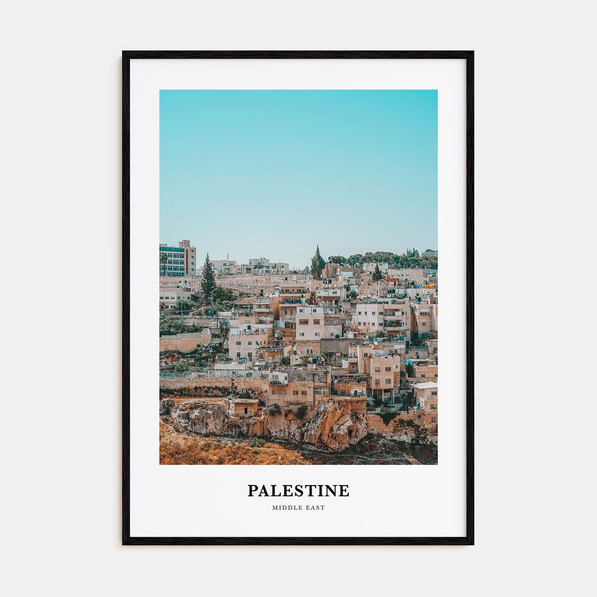 Palestine Portrait Color No 3 Poster