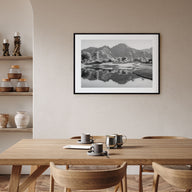 Palm Desert Landscape B&W Poster