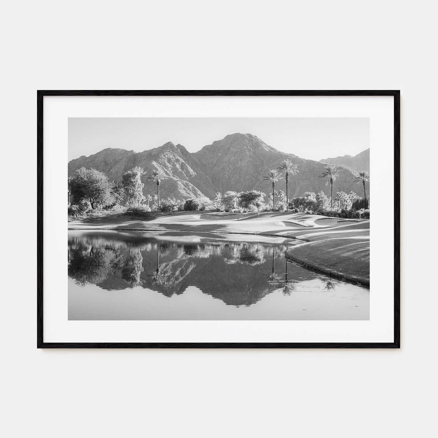 Palm Desert Landscape B&W Poster