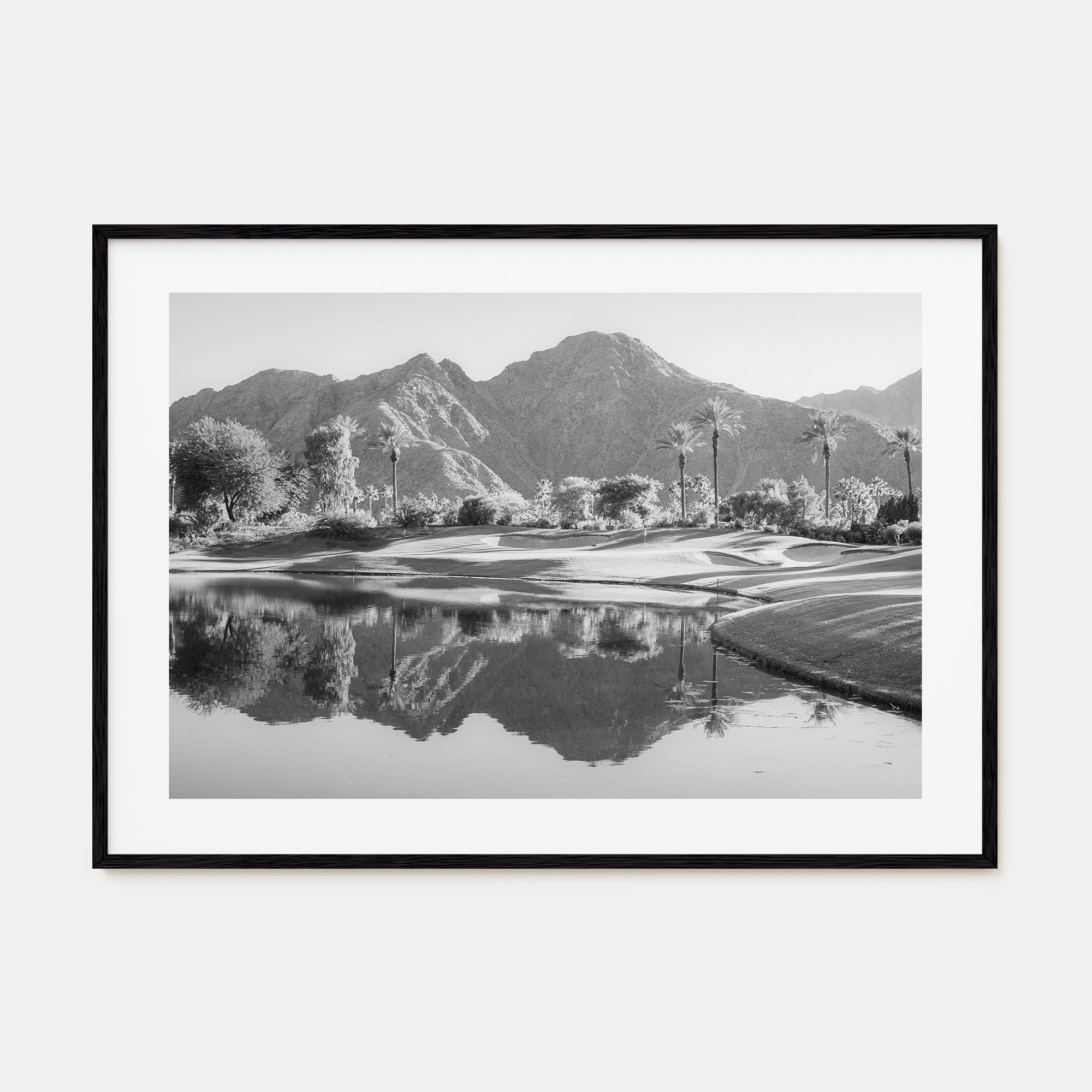 Palm Desert Landscape B&W Poster