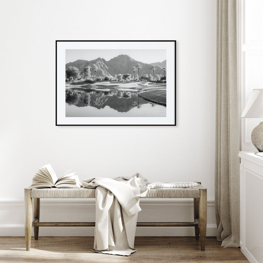 Palm Desert Landscape B&W Poster