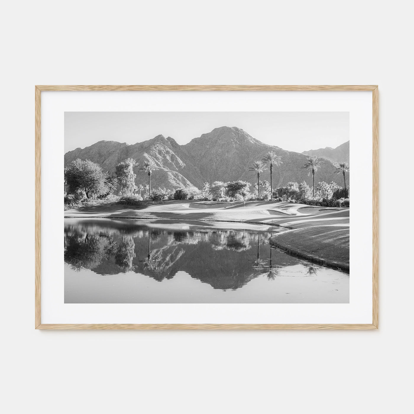 Palm Desert Landscape B&W Poster