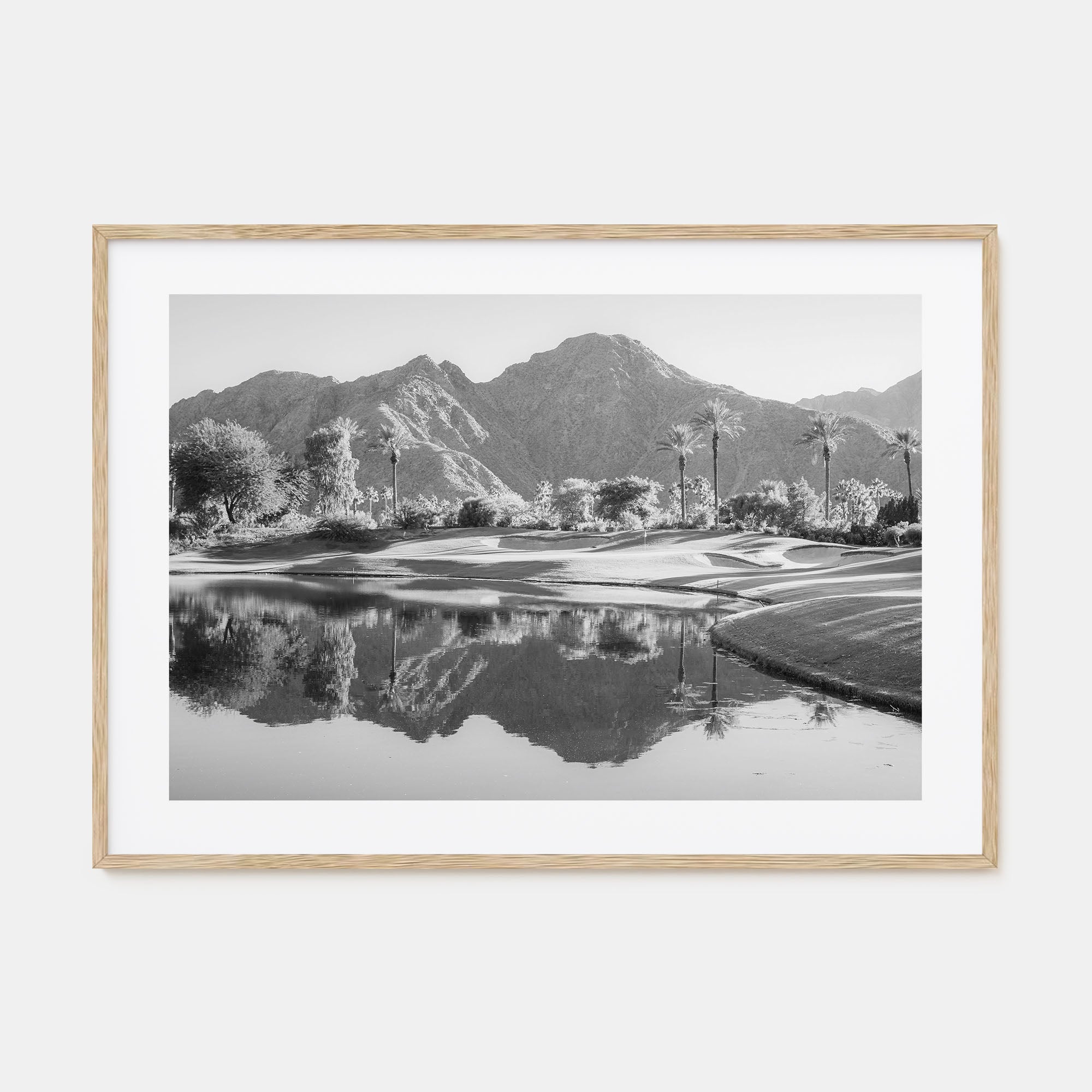 Palm Desert Landscape B&W Poster