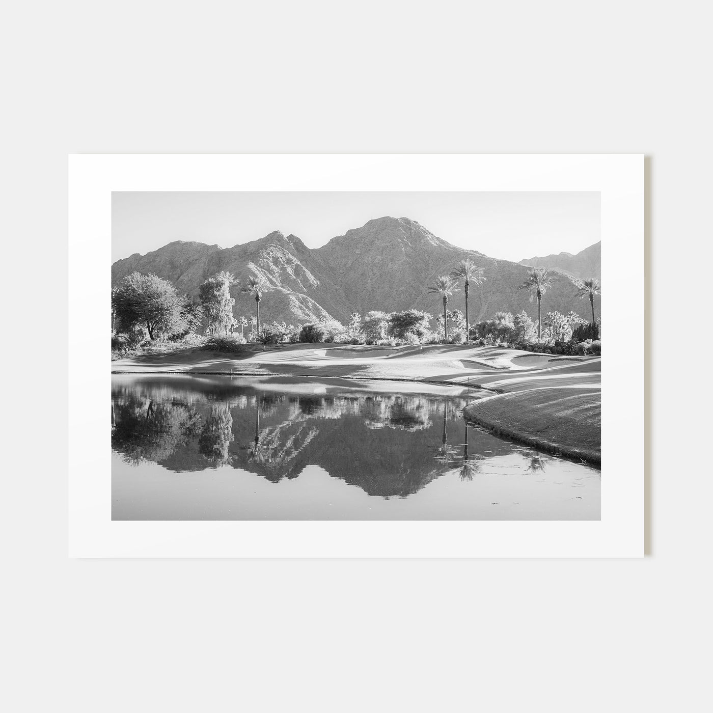 Palm Desert Landscape B&W Poster