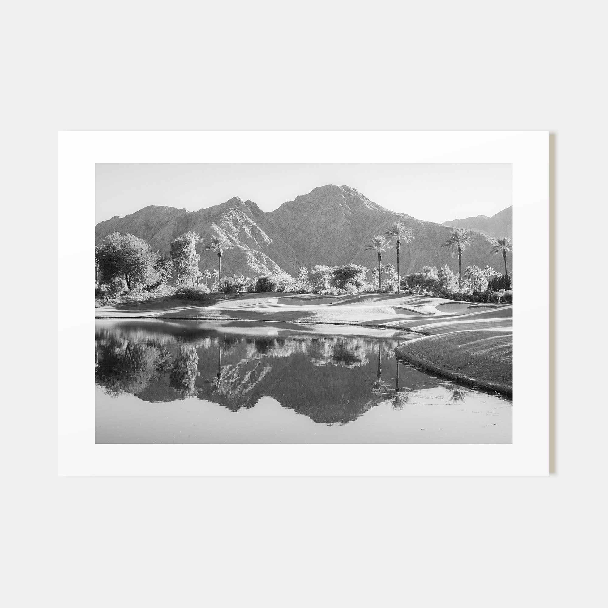 Palm Desert Landscape B&W Poster