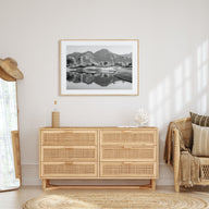 Palm Desert Landscape B&W Poster