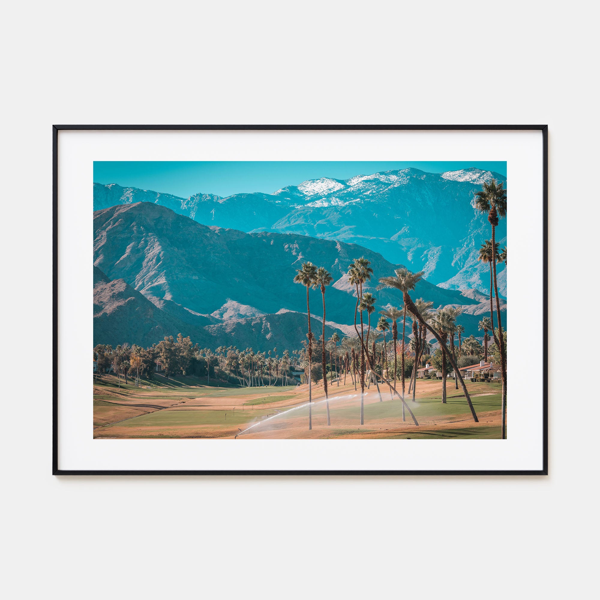 Palm Desert Landscape Color Poster