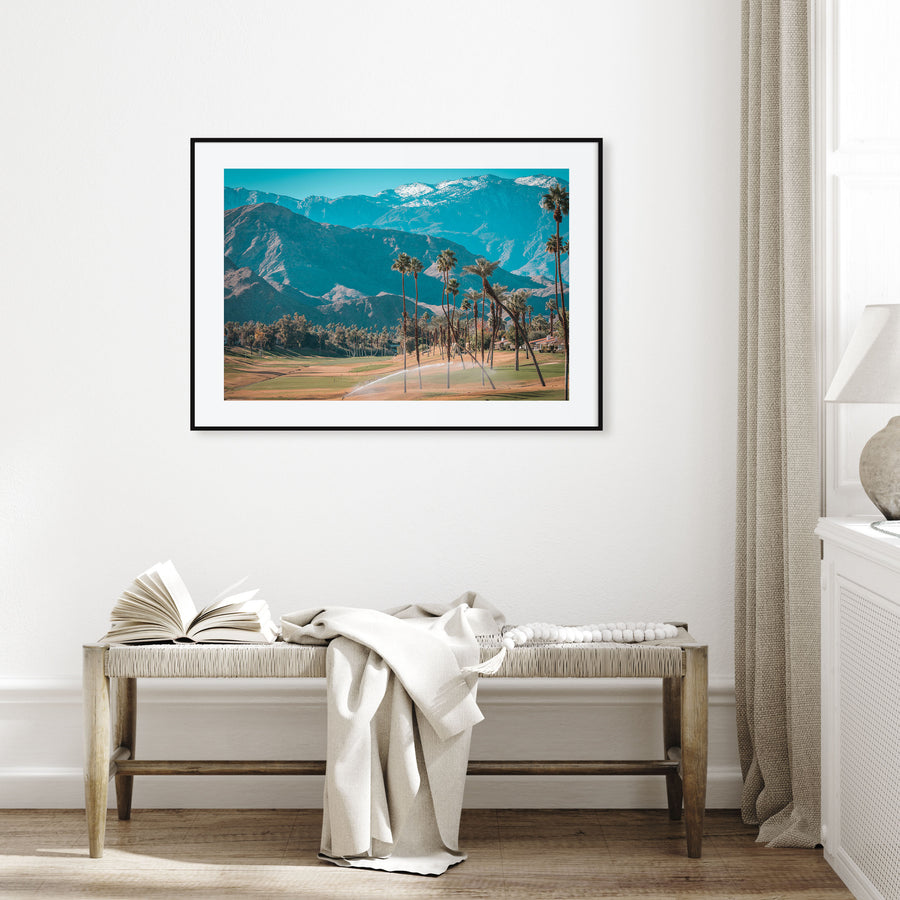 Palm Desert Landscape Color Poster