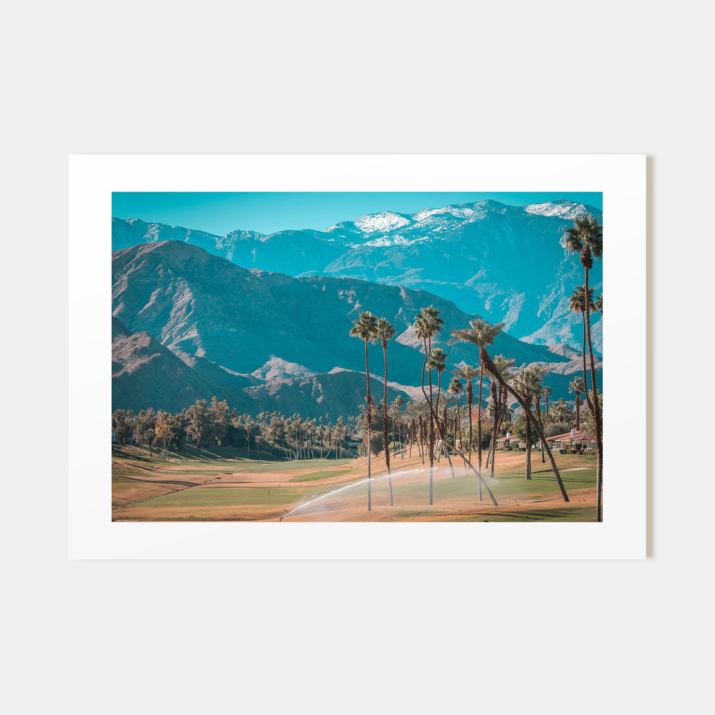 Palm Desert Landscape Color Poster