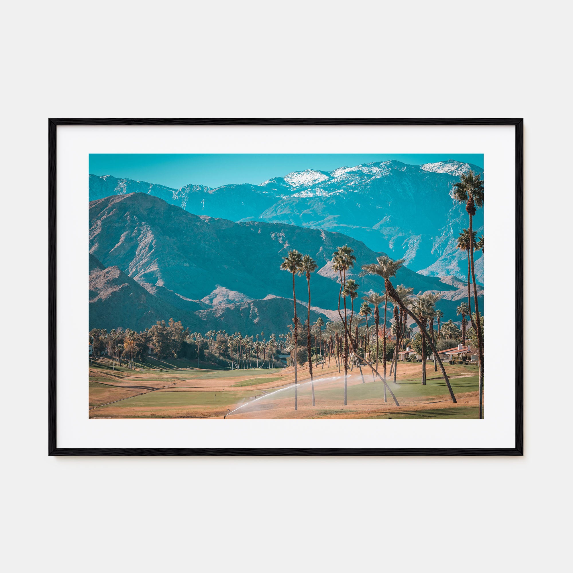 Palm Desert Landscape Color Poster