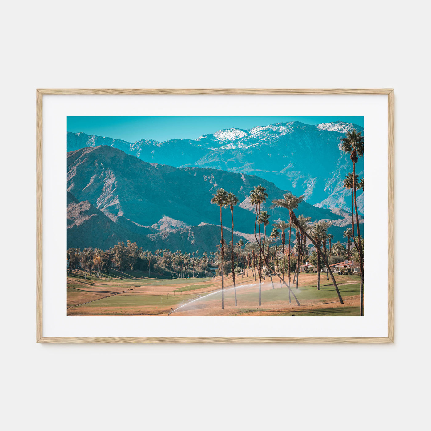 Palm Desert Landscape Color Poster