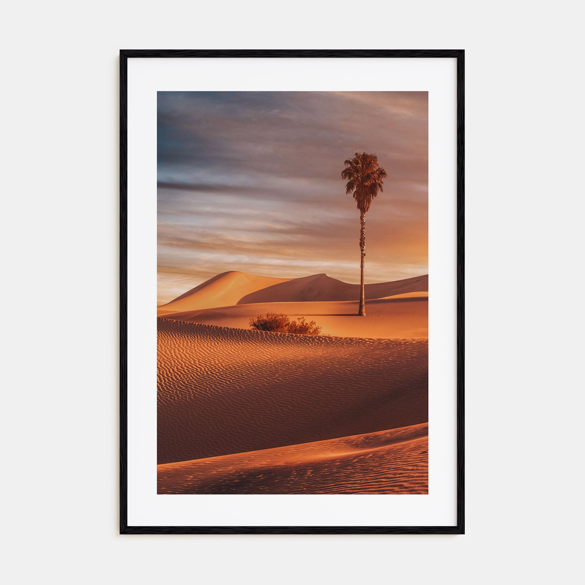 Palm Desert Photo Color Poster
