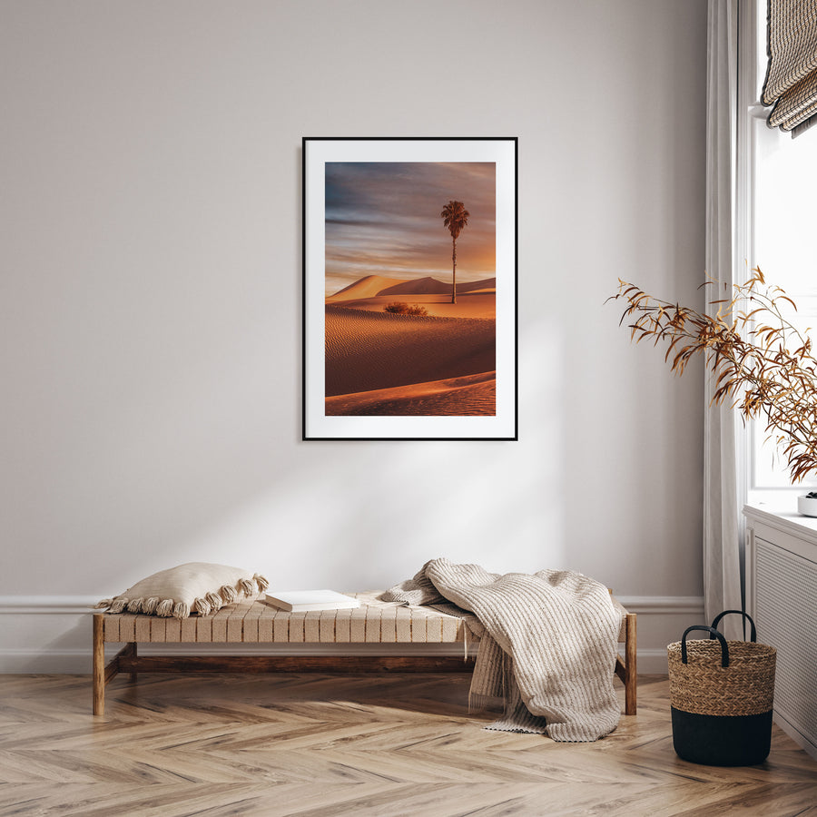 Palm Desert Photo Color Poster