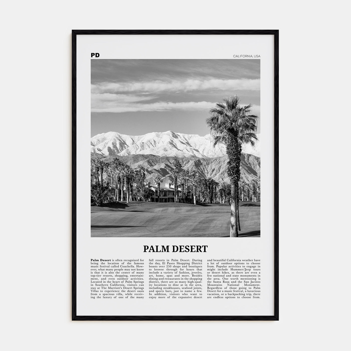 Palm Desert Travel B&W Poster
