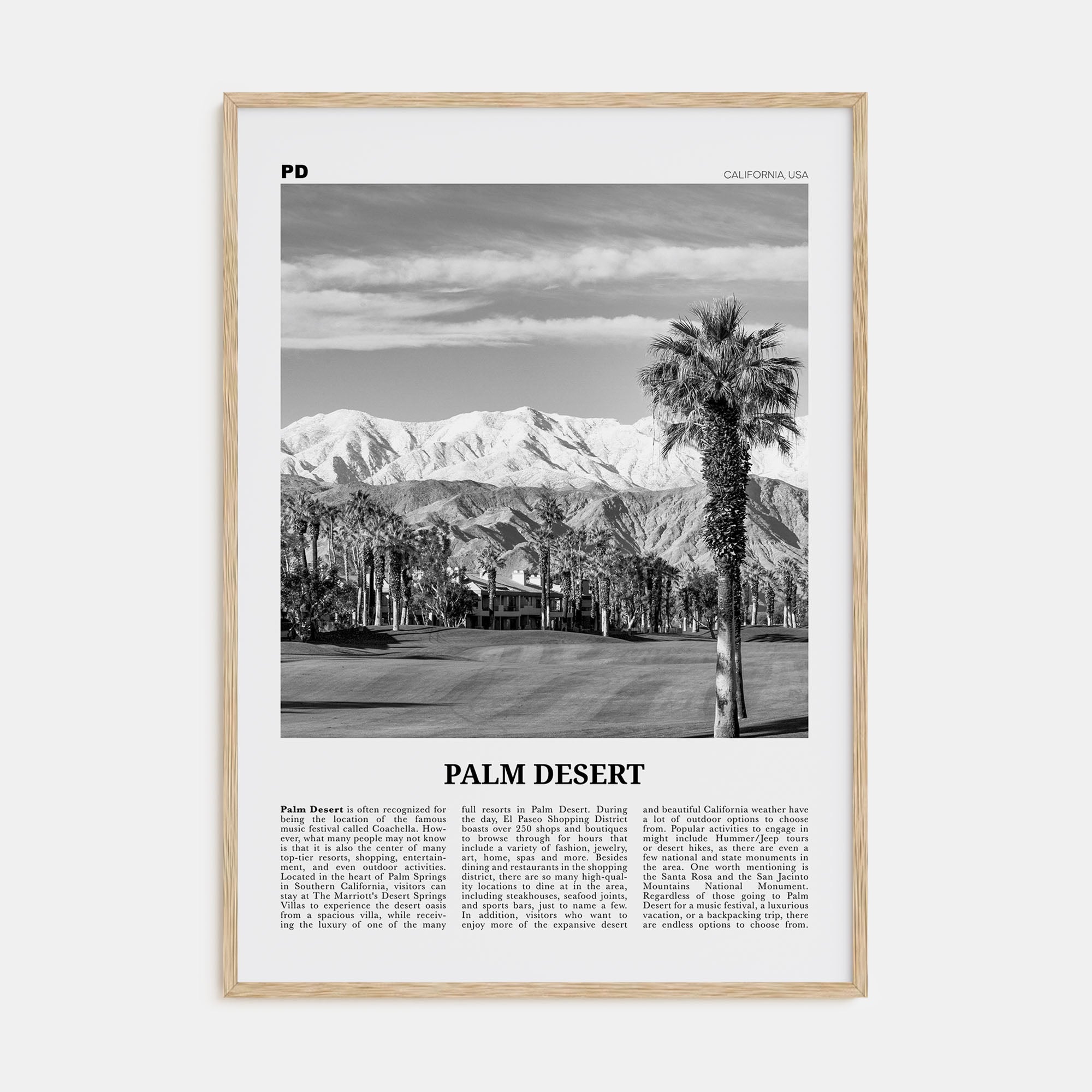 Palm Desert Travel B&W Poster