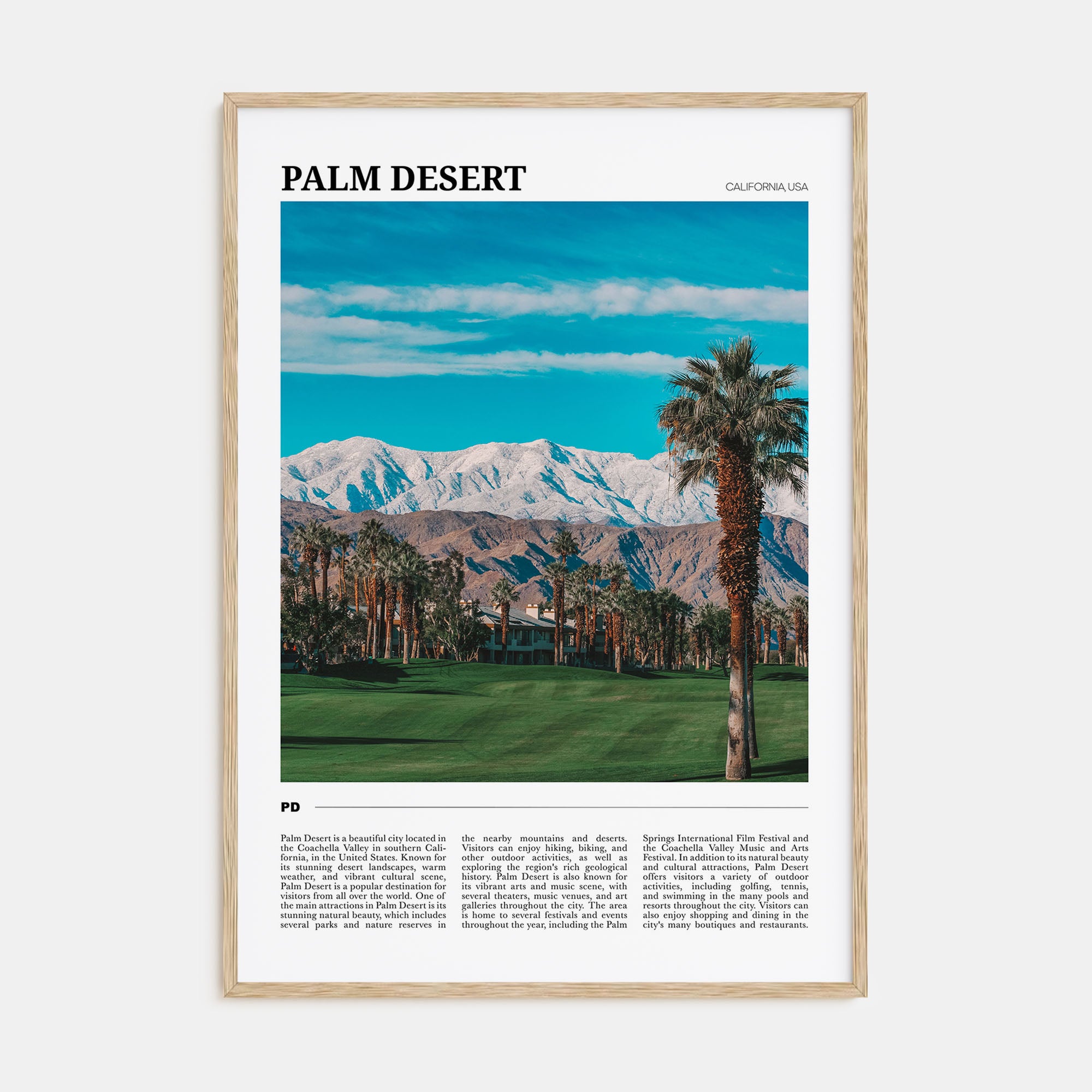 Palm Desert Travel Color Poster