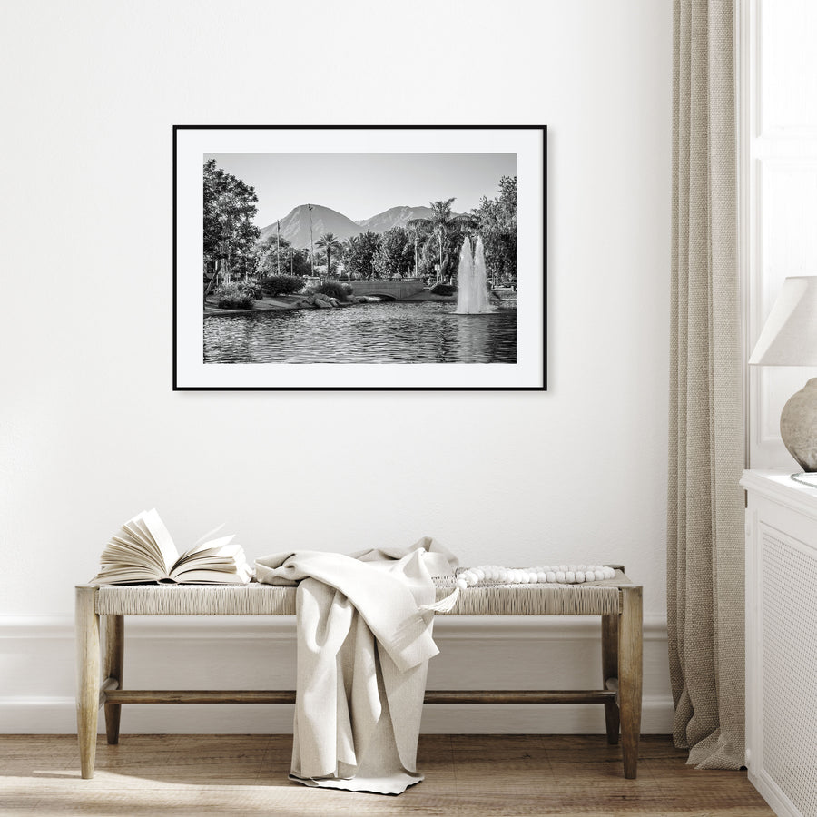Palm Springs Landscape B&W Poster