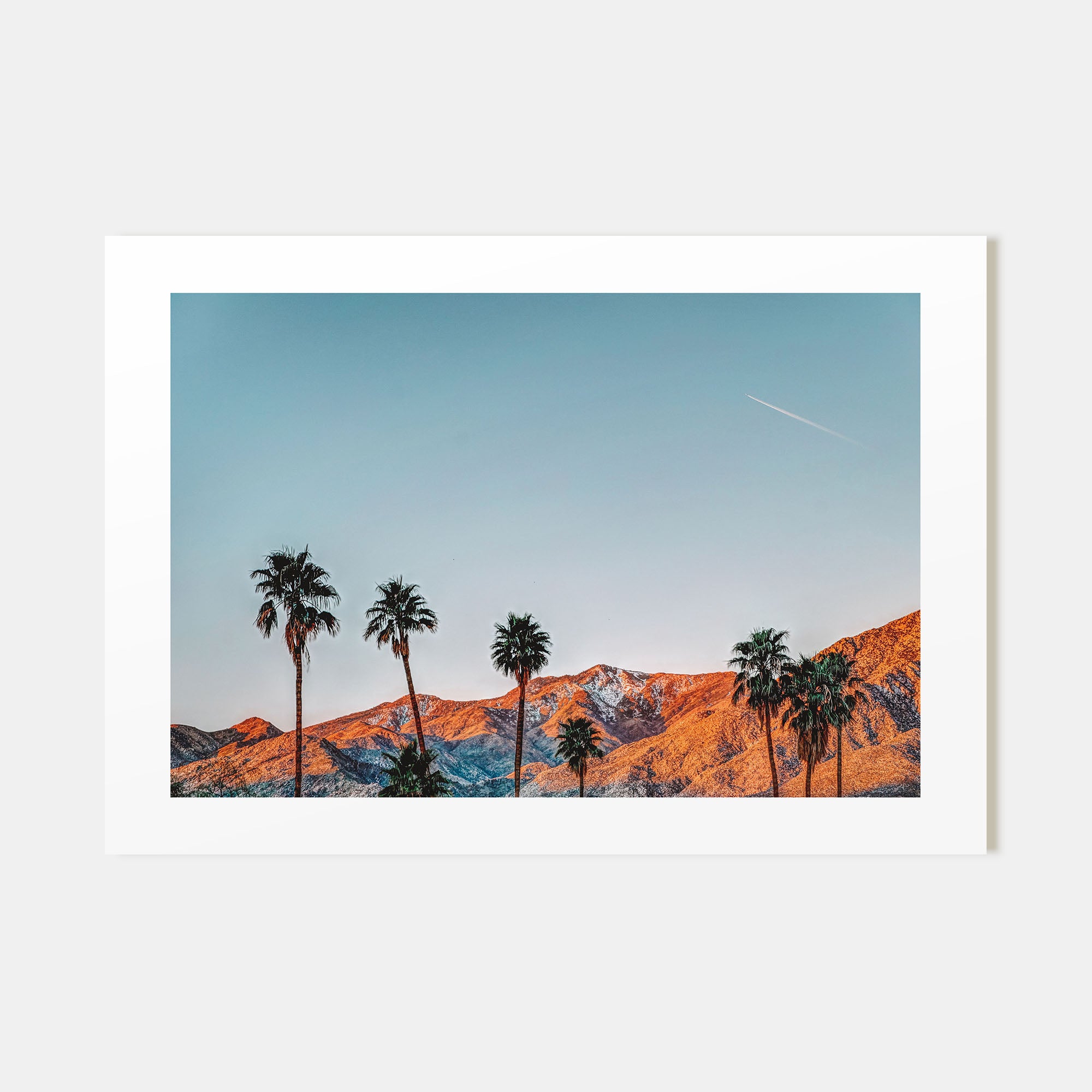Palm Springs Landscape Color Poster