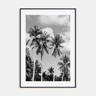 Palm Springs Photo B&W No 2 Poster