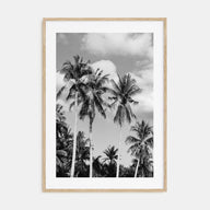 Palm Springs Photo B&W No 2 Poster