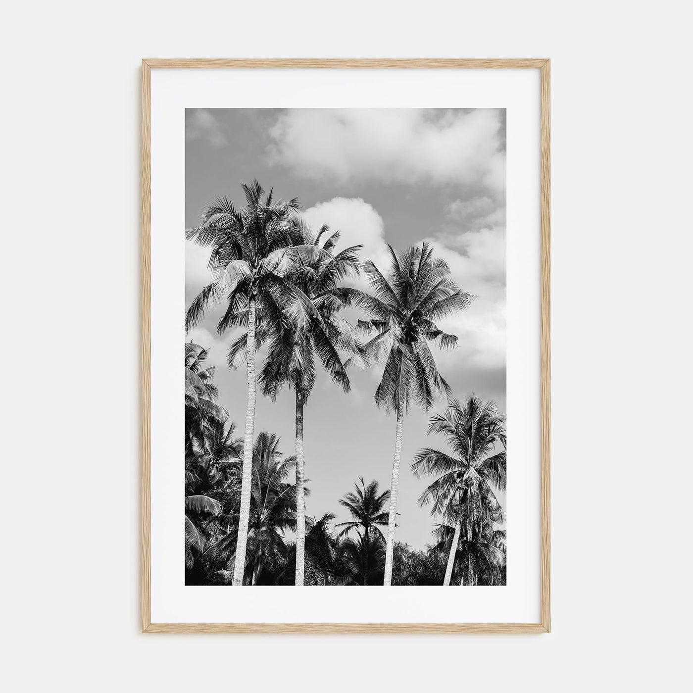 Palm Springs Photo B&W No 2 Poster