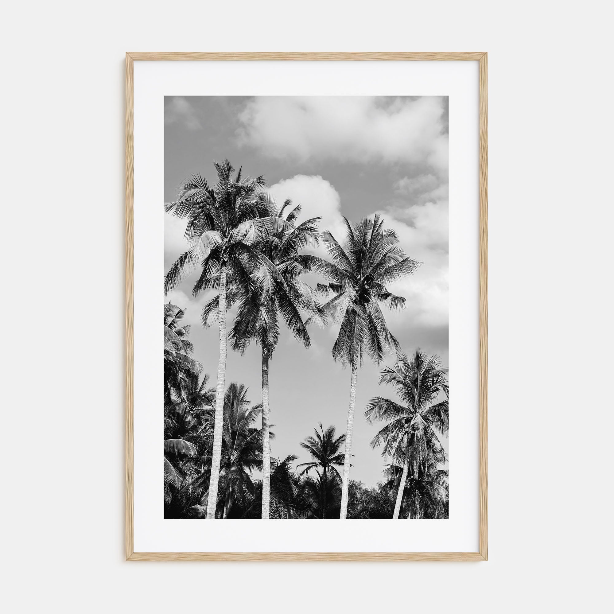 Palm Springs Photo B&W No 2 Poster