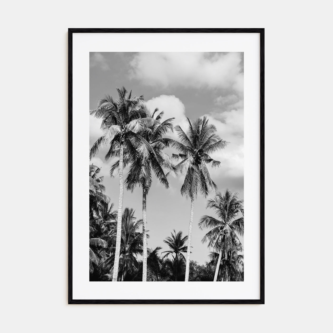 Palm Springs Photo B&W No 2 Poster