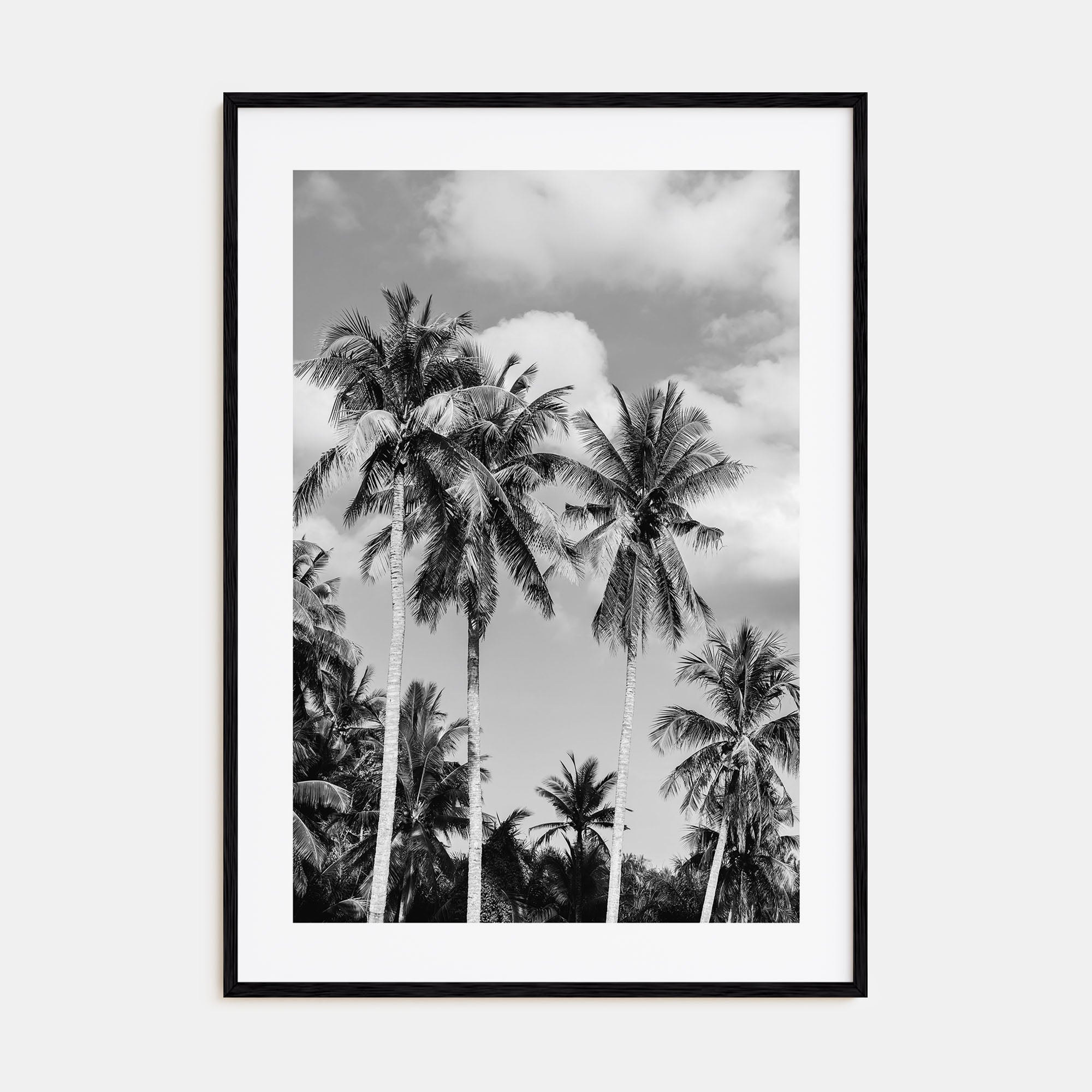 Palm Springs Photo B&W No 2 Poster