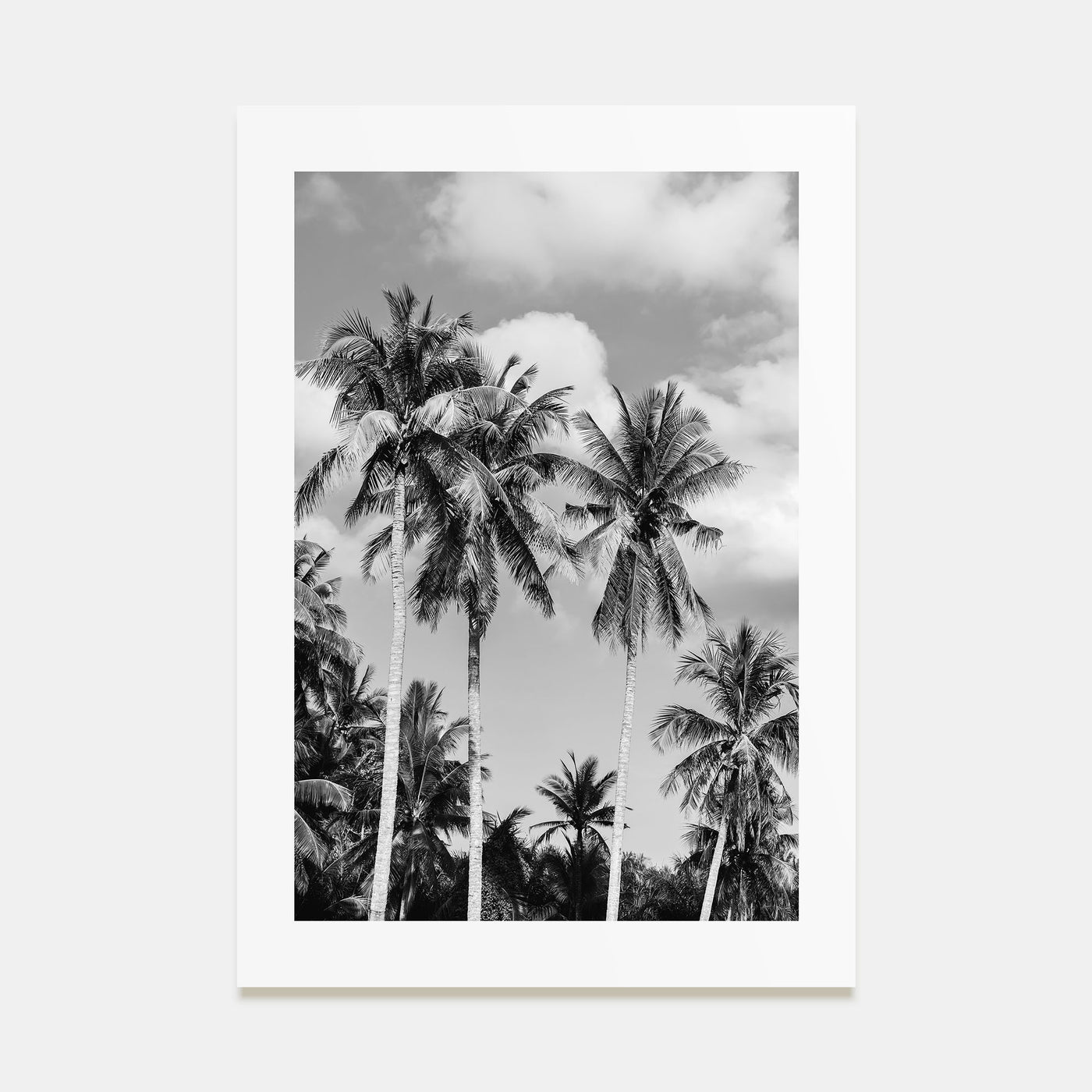 Palm Springs Photo B&W No 2 Poster