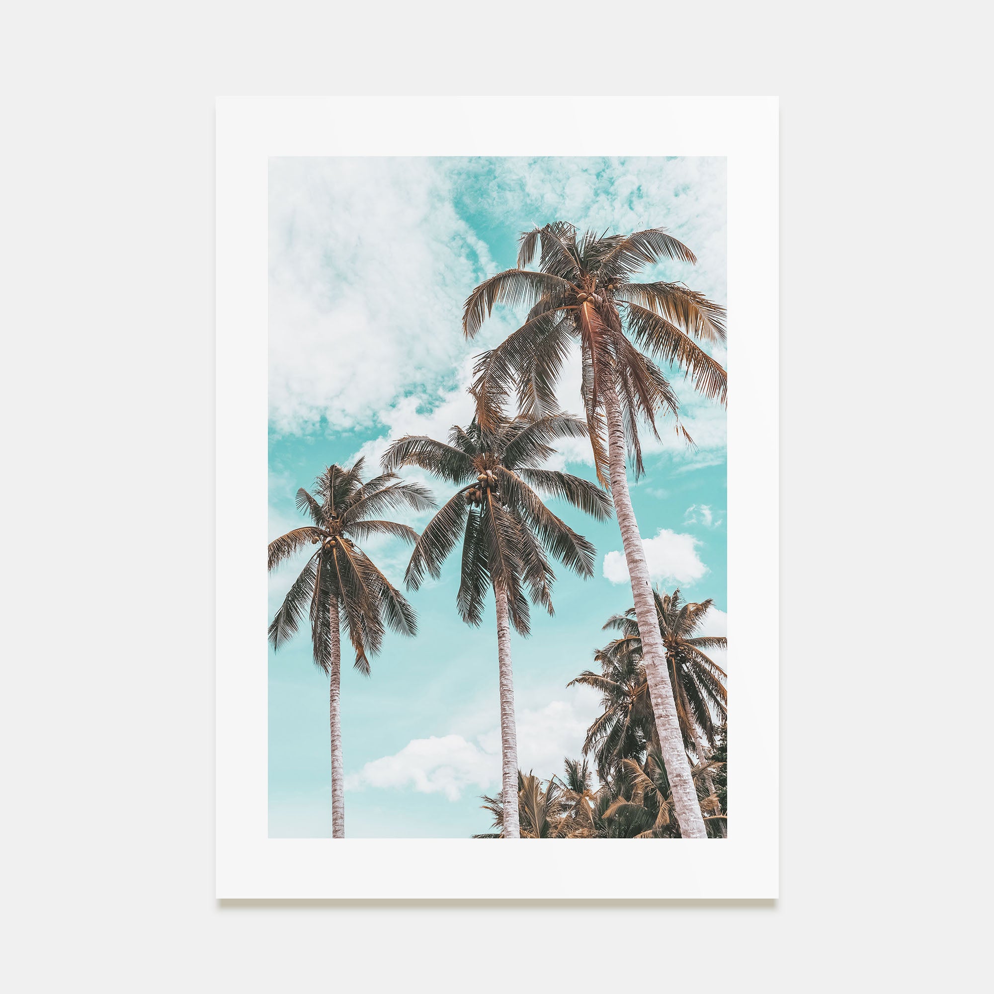 Palm Springs Photo Color No 2 Poster