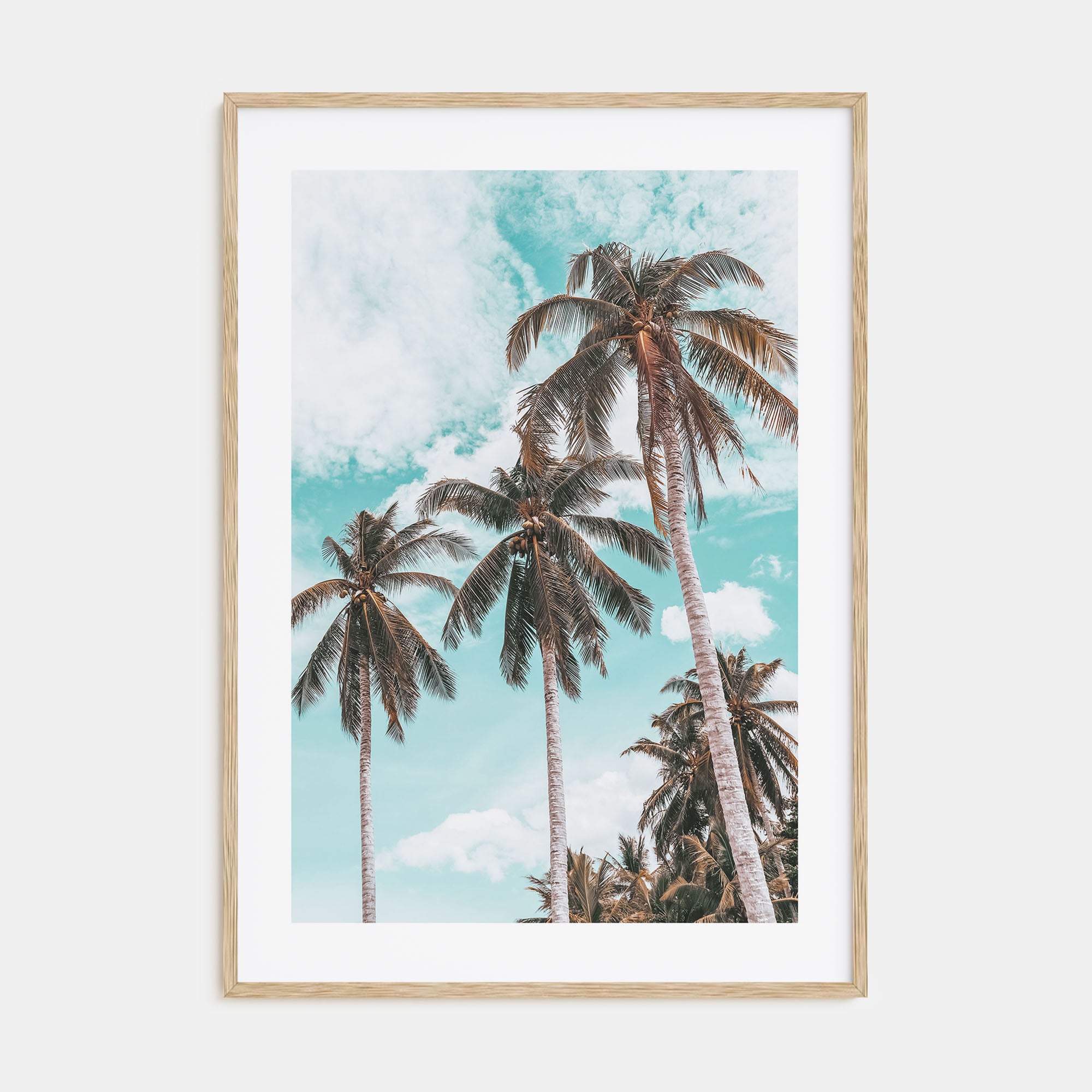 Palm Springs Photo Color No 2 Poster