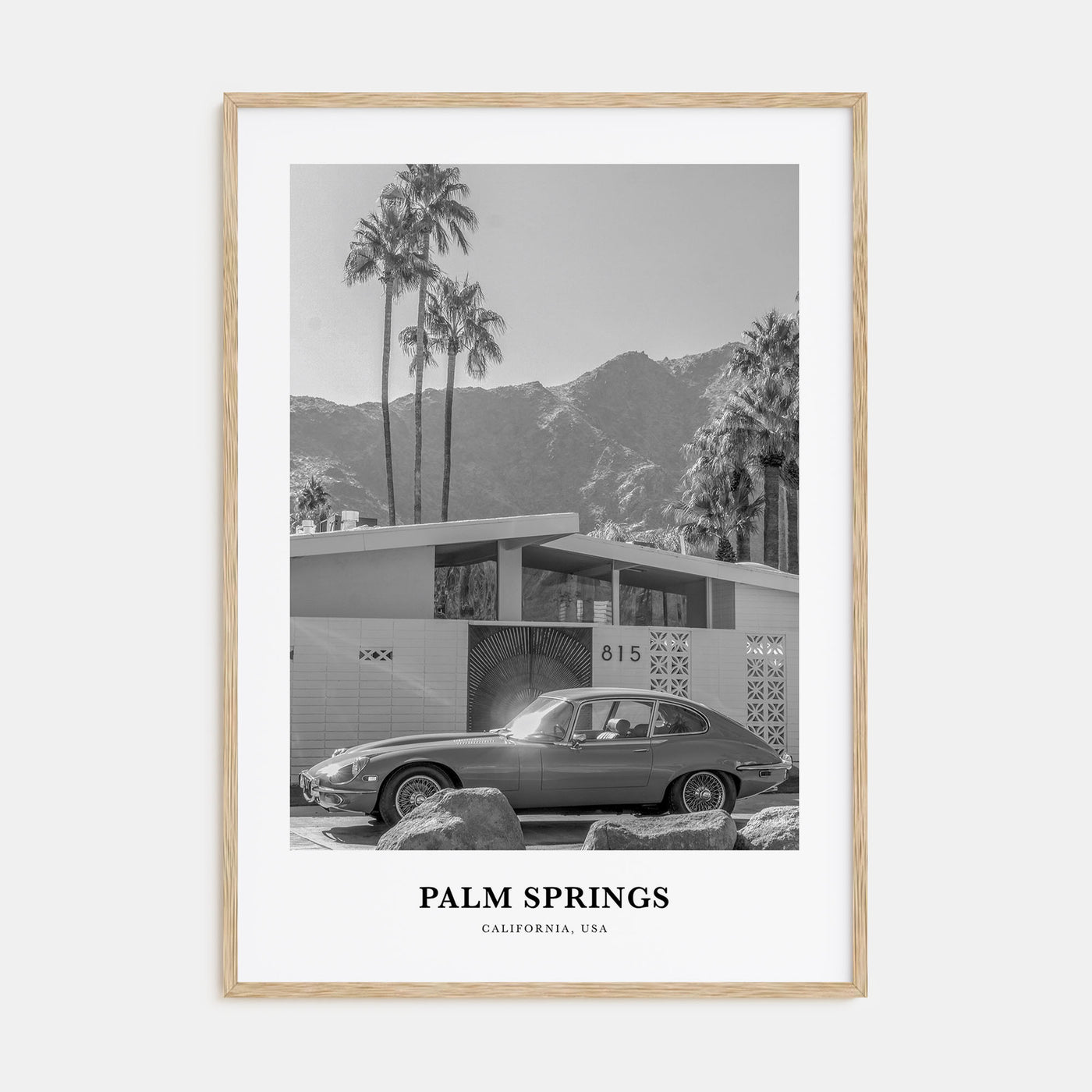 Palm Springs Portrait B&W No 1 Poster