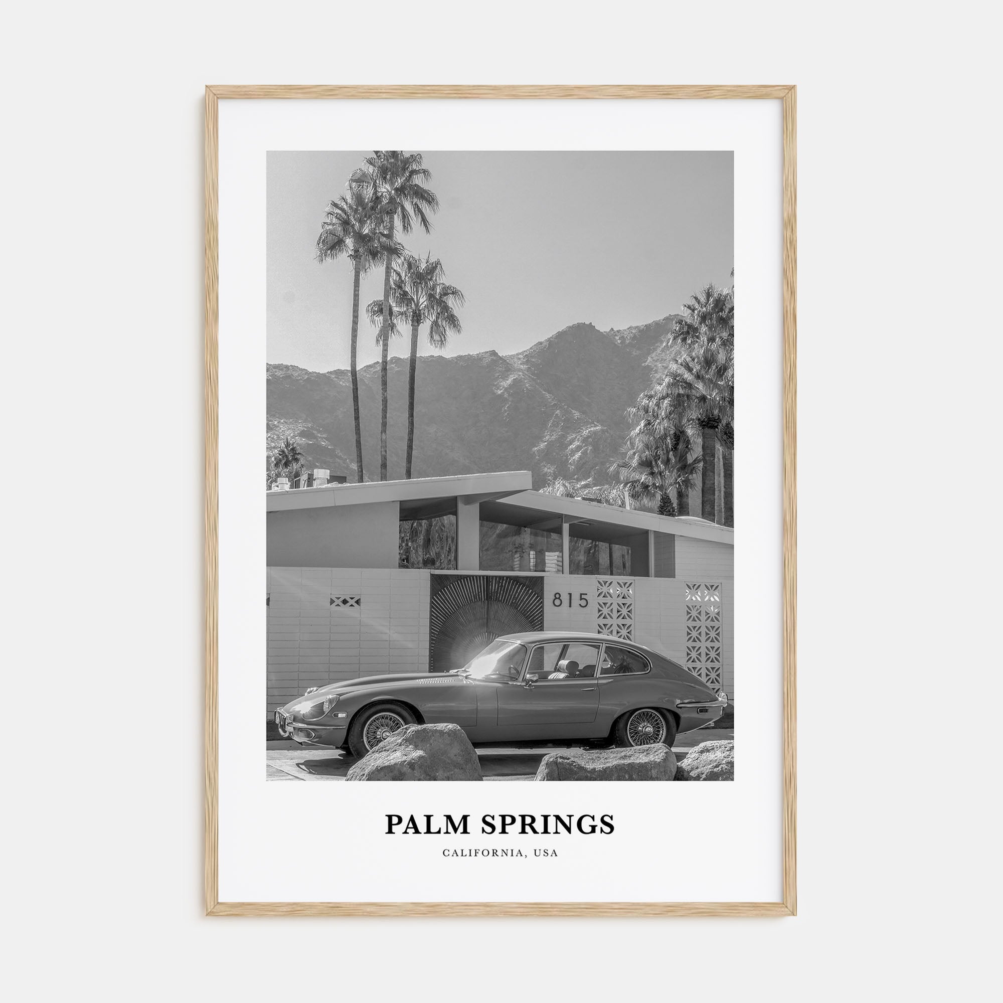 Palm Springs Portrait B&W No 1 Poster