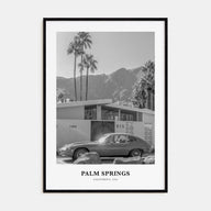 Palm Springs Portrait B&W No 1 Poster