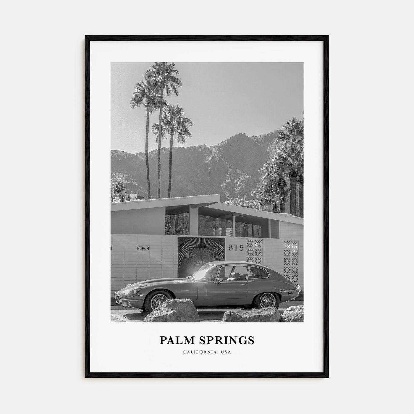 Palm Springs Portrait B&W No 1 Poster