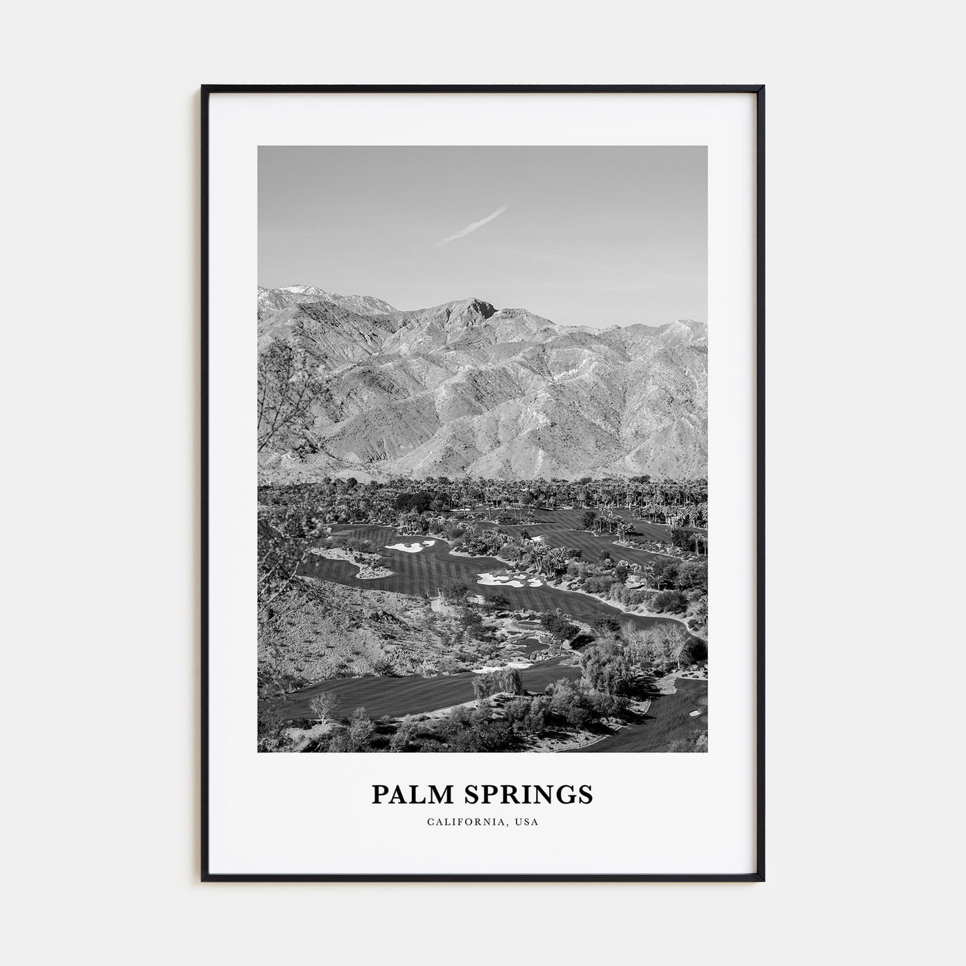 Palm Springs Portrait B&W No 2 Poster