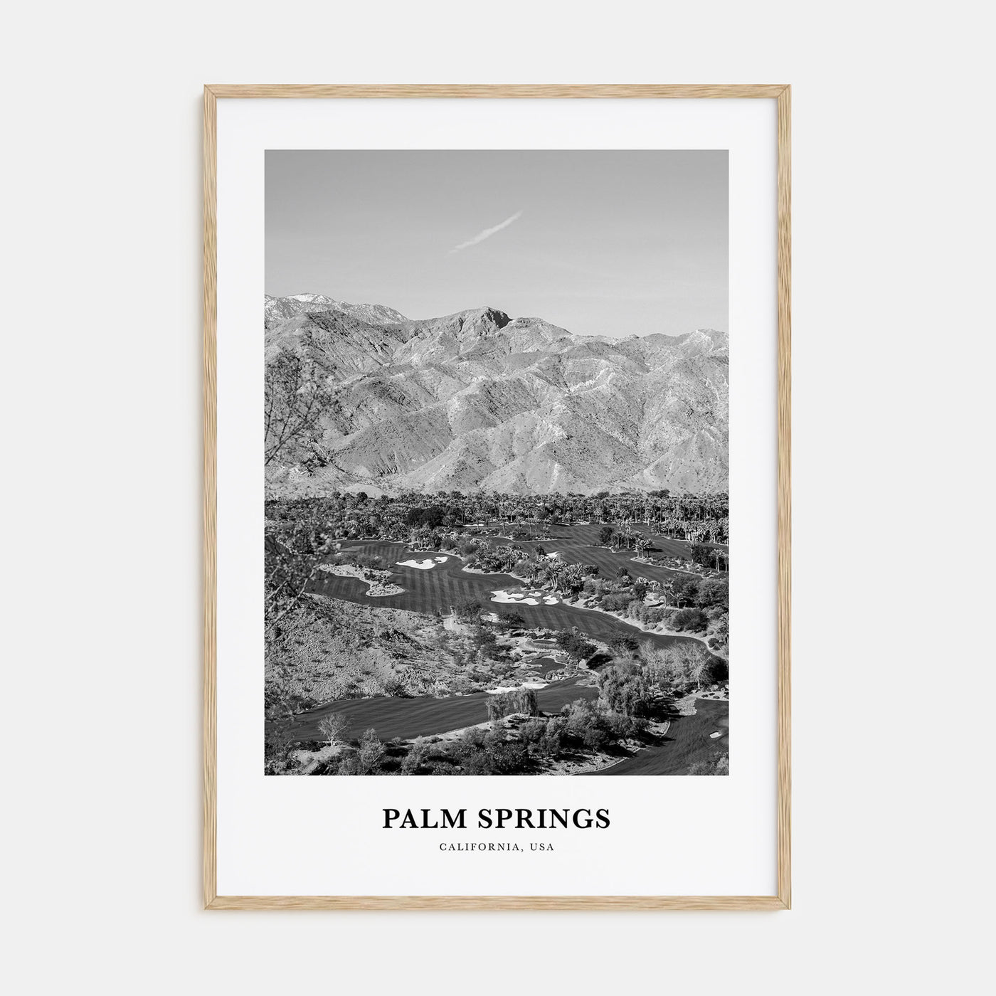 Palm Springs Portrait B&W No 2 Poster