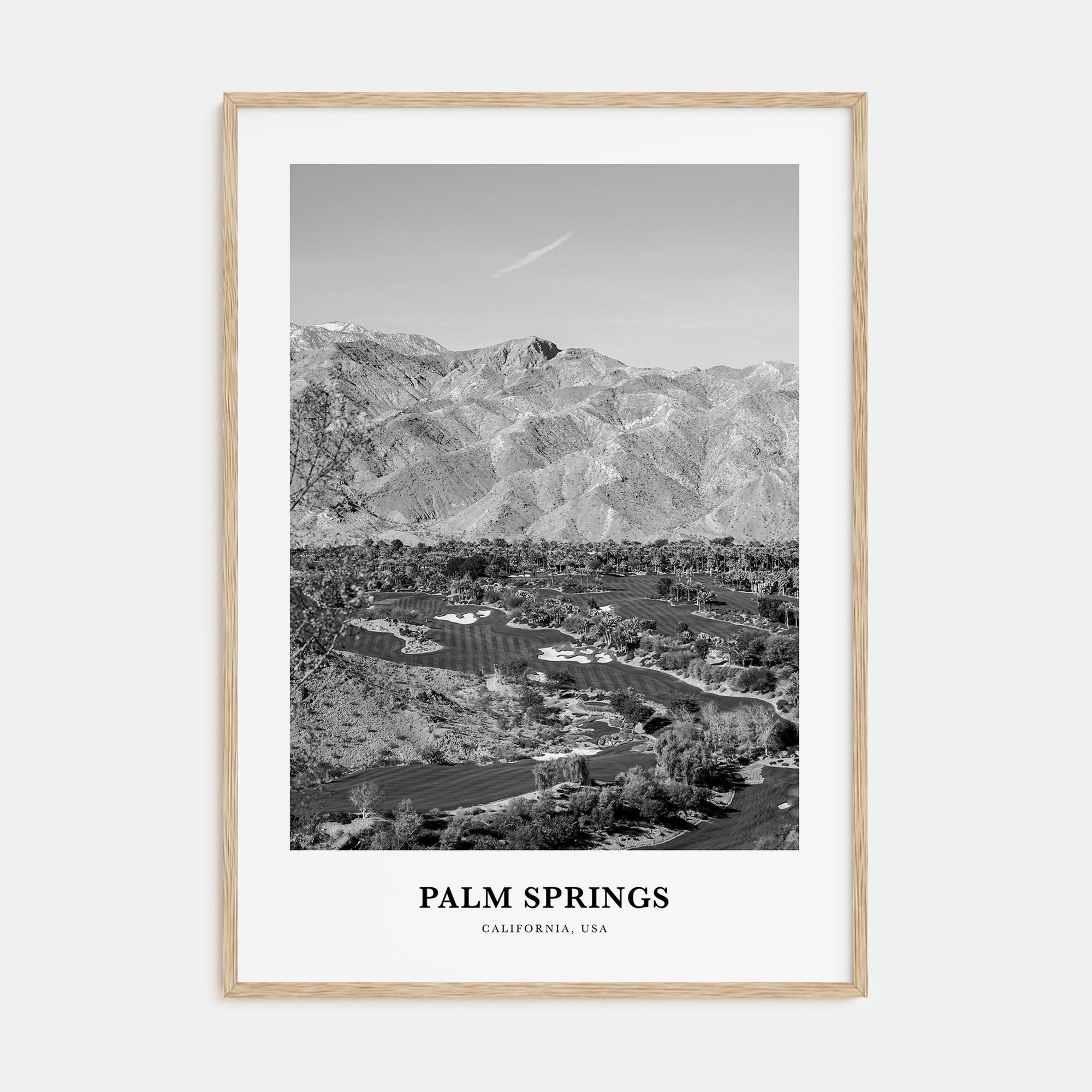 Palm Springs Portrait B&W No 2 Poster