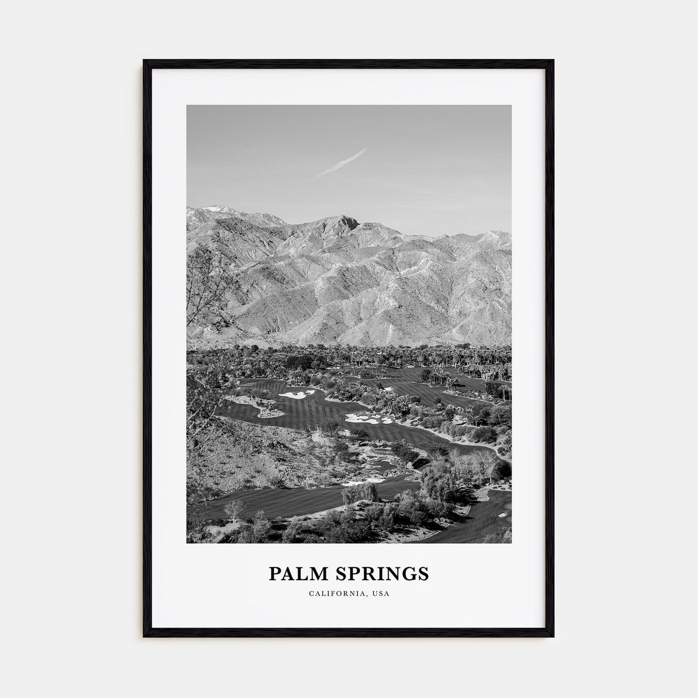 Palm Springs Portrait B&W No 2 Poster