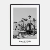 Palm Springs Portrait B&W No 3 Poster