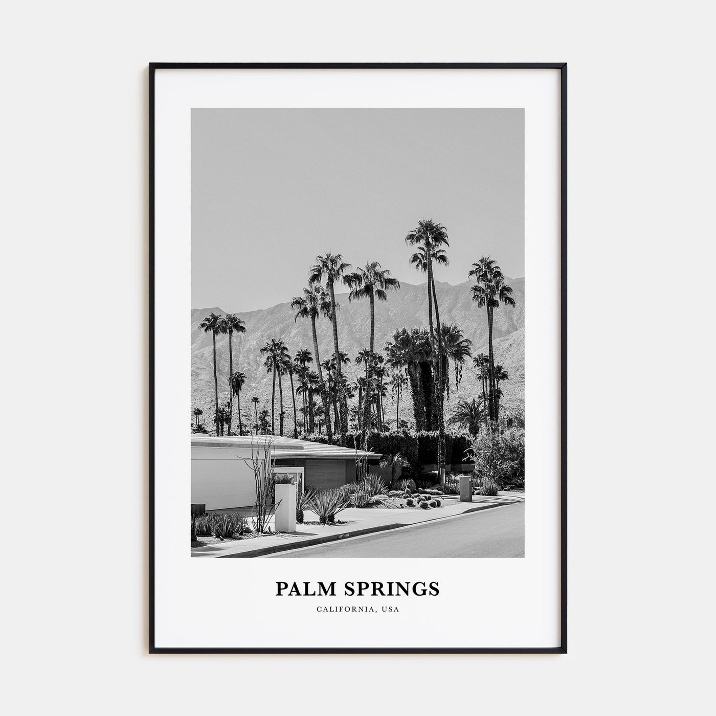 Palm Springs Portrait B&W No 3 Poster